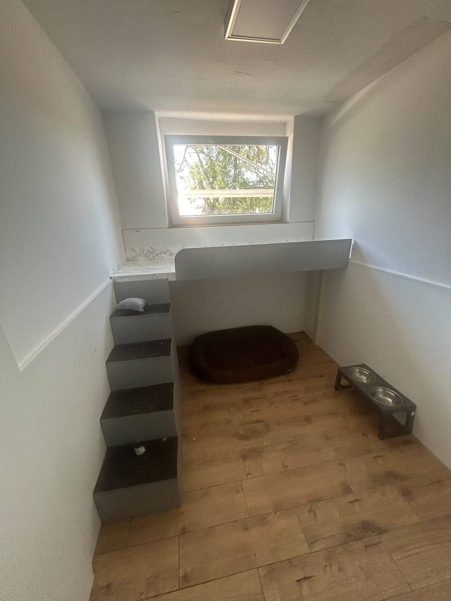 Beheizter Ruheraum mit Podest und Hundebett am Fenster