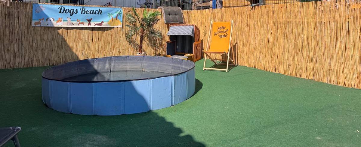 Hundepool „Dog's Beach“ auf dem Gelände zur Abkühlung